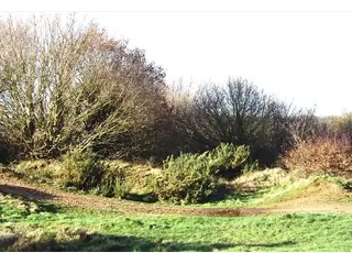 Terrain 900 m² clôturé — route de Kpalimé