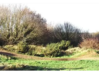 Terrain 900 m² clôturé — route de Kpalimé